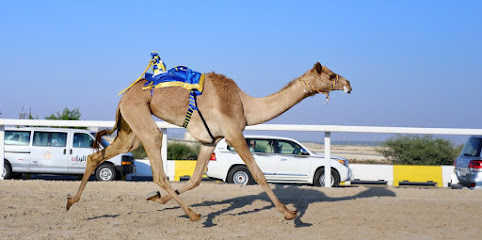 مضمار الشحانية للهجن - Doha -