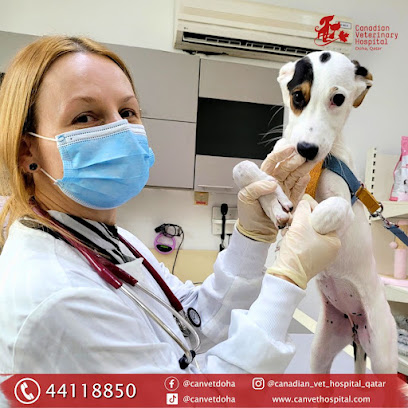 Canadian Veterinary Hospital - Umm Salal Muhammed - +974 4411 8850