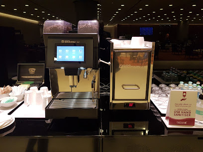 Qatar Airways Premium Arrivals Lounge - Doha - +974 4022 6000