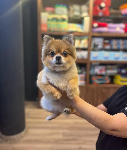 Pet station - Doha - +974 6672 7262