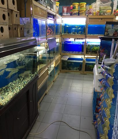 Al-Kanari for Fish and Birds - Doha - +974 7032 4324