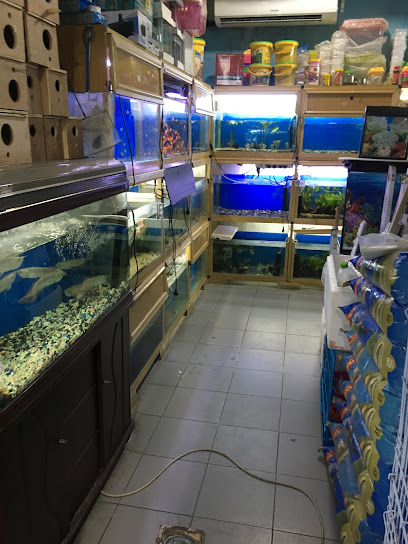 Al-Kanari for Fish and Birds - Qatar|Doha|8F9M+75H