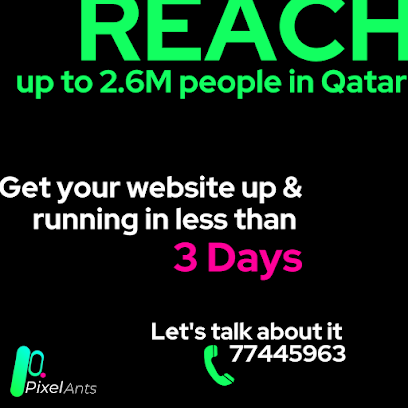 Pixel Ants - WEB Developers - الدوحة - +974 7744 5963