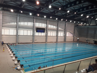 Al Sadd SC Swimming Academy - Doha -