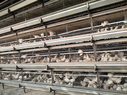 Arab Qatari Poultry Co. - Doha - +974 4488 3708