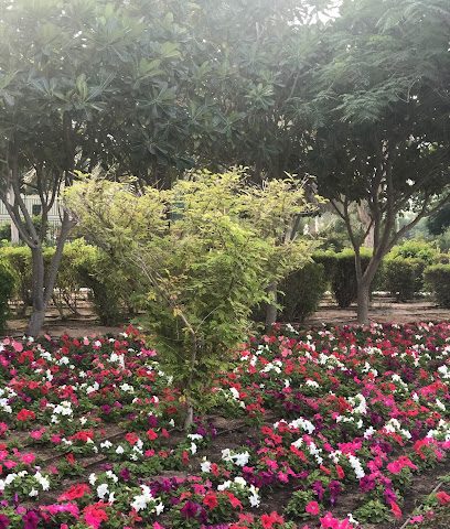 Duhail park - Doha -