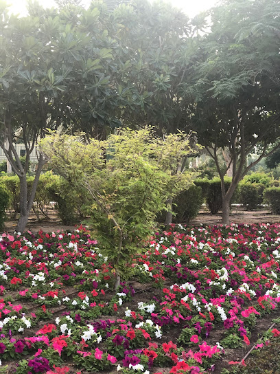 Duhail park - Qatar|Doha|حديقة الدحيل|9F2F+F84