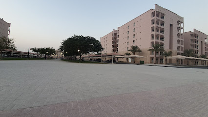 Playing area and Park - Doha -