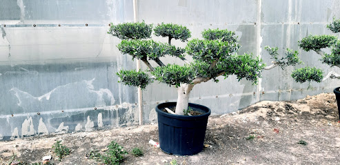Green Way - Umm Salal Muhammed - +974 4037 1757