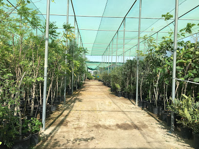 Al Naqi Landscape Company Nursery - Doha - +974 4414 1065