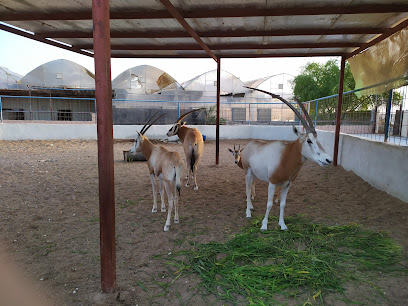 FG Agricultural Farm - Doha - +974 4441 7143