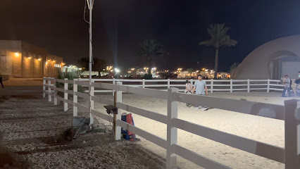 Horse riding (big) - Doha -