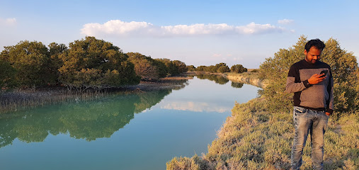 Al Dhakira Mangroves - Doha -