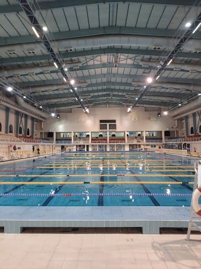 Hamad Aquatic Centre - Qatar|Doha