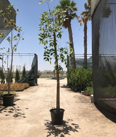 Plaza Green Life landscaping and maintenance, Doha Qatar - Doha - +974 7090 8083