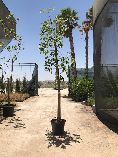 Plaza Green Life landscaping and maintenance