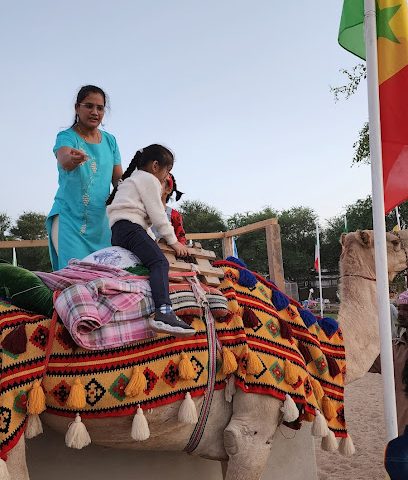 Camel & Pony Ride - Doha -