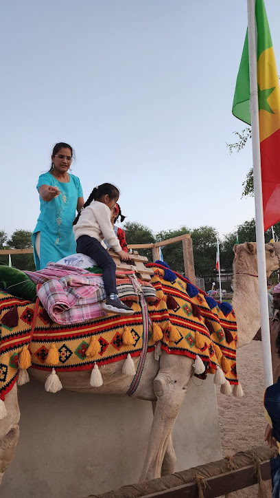 Camel & Pony Ride - Qatar|بلدية