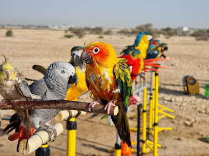 FreeFlight Parrot Qatar Home Base - Doha -