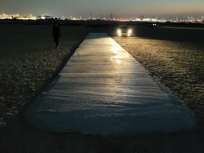 DD XI Cricket Ground - Doha -