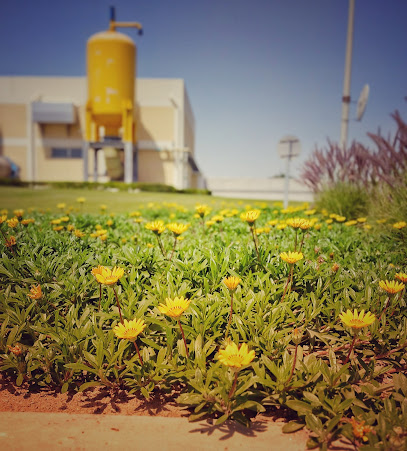 Al Naqi Landscape Company W.L.L - Doha - +974 7055 7900