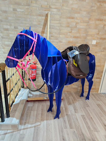 Al Galayel Equine Center l مركز القلايل للخيل - Qatar|Doha|Al Furousiya Service Rd