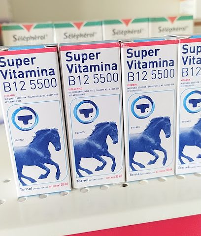 Elwady pharmacy - Umm Salal Muhammed - +974 3115 9744