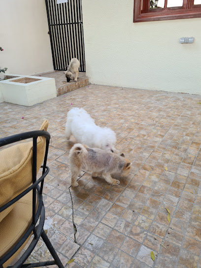 Mr Max Pet Service - Qatar|Doha|St 820
