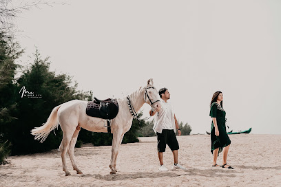 MINDS EYE PHOTOGRAPHY - Doha - +974 3109 2798