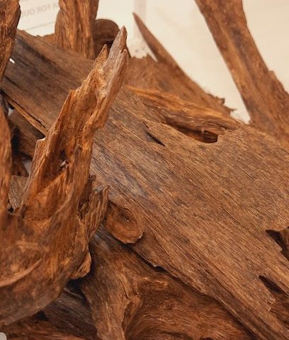 OUDNA FOR OUD AND PERFUME WAKRA - Doha - +974 3040 4542