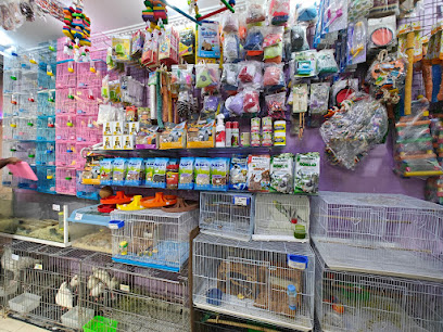 Kingdom of Birds - Doha - +974 4460 6730