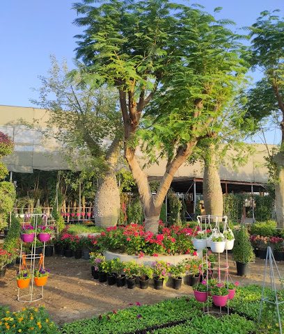 Washingtonia Nursery W.L.L (Muaither) Qatar - Doha - +974 3340 4377