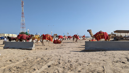 Qatar Inbound Tours - Doha - Umm Salal Muhammed - +974 7734 1200