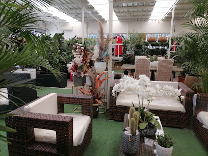 Larissa Gardens - Doha - +974 4460 2529
