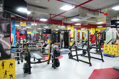 City Gym Wakrah - Ladies - قطر-مدينة مواتر-المرحلة الثانية - +974 3332 5133
