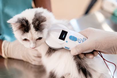 PetVet Care Hotel and Clinic - Umm Salal Muhammed - +974 4444 4993