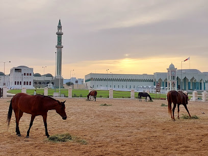 Horses Stables, Souq Waqif - Ras Laffan - +974 6689 8574