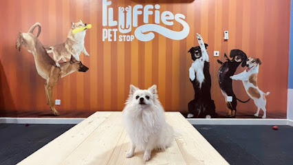 Fluffies Pet Stop Clinic - Doha - +974 5062 8858