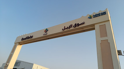 Camel Market, Abu Nakhla - الدوحة، -