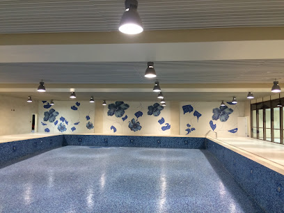 Al Rayyan Swimming Pools WLL - Umm Bab - +974 4466 3331