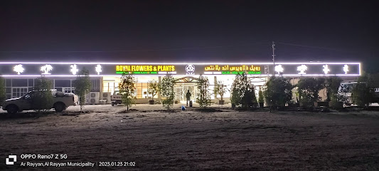 Royal Flowers and Plants - Doha - +974 3340 9911