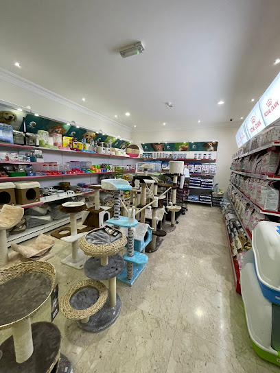 Sofa Veterinary Care Center - Qatar|Doha|Building No. 52 Haloul Street Street No. 702