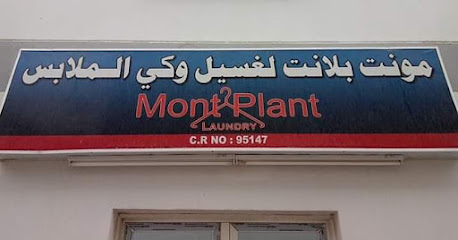 Mont Plant Laundry - Doha - +974 3302 5885