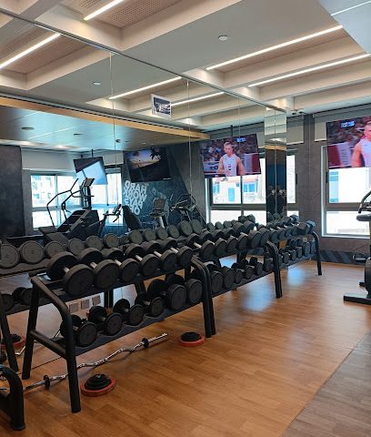 Daily Fitness Coach - Doha - +974 5017 1206
