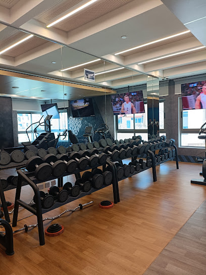 Daily Fitness Coach - Qatar|Doha|Al Fairouz street