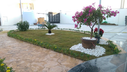 Green Maze Landscaping and Design - Doha - +974 4443 3928