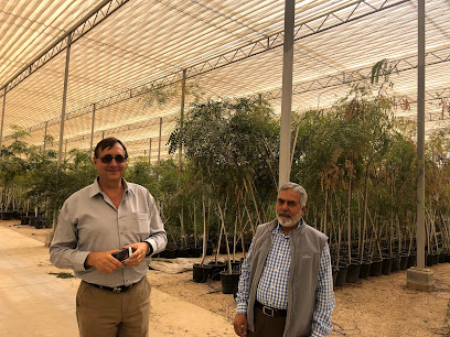 Qatar Foundation Plant Nursery - Doha - +974 4454 8302
