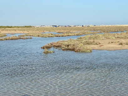 Zhakhira natural reserve - Doha -