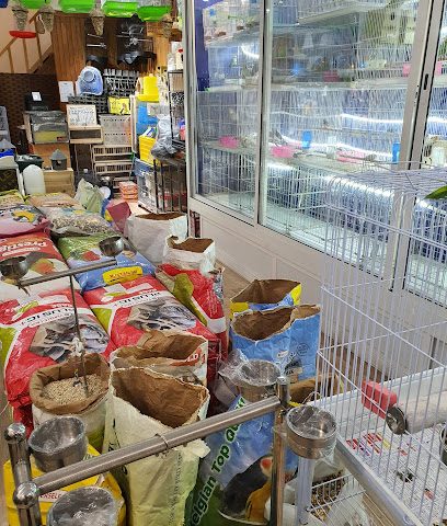 Mini Zoo Pets Shop - Doha - +974 3010 4010