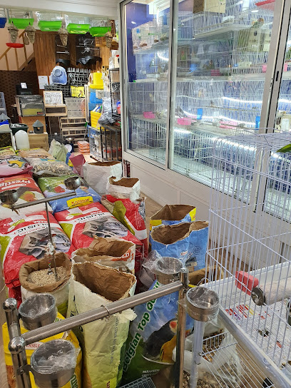 Mini Zoo Pets Shop - Qatar|Doha|Al Rawnaq (Town Centre Branch